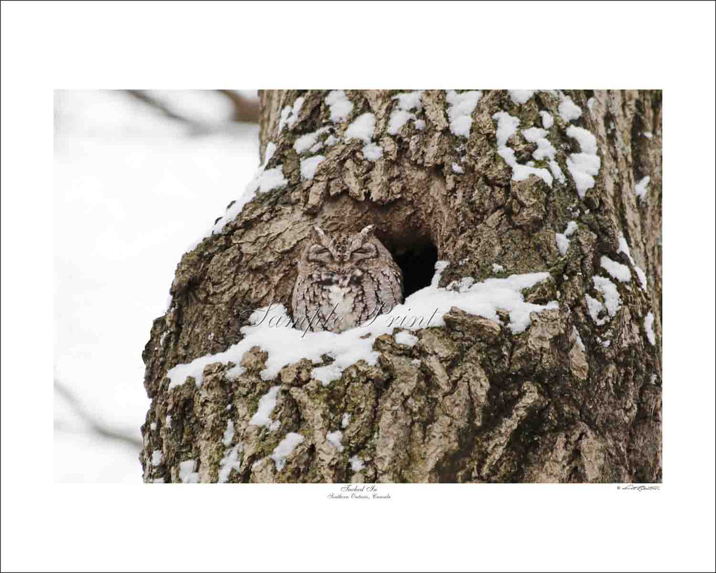 TUCKED IN - Southern Ontario, Canada