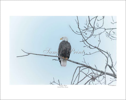 VANTAGE POINT - Oakville Ontario, Canada