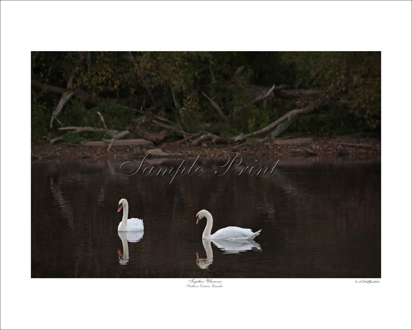 TOGETHER WHEREVER - Southern Ontario, Canada