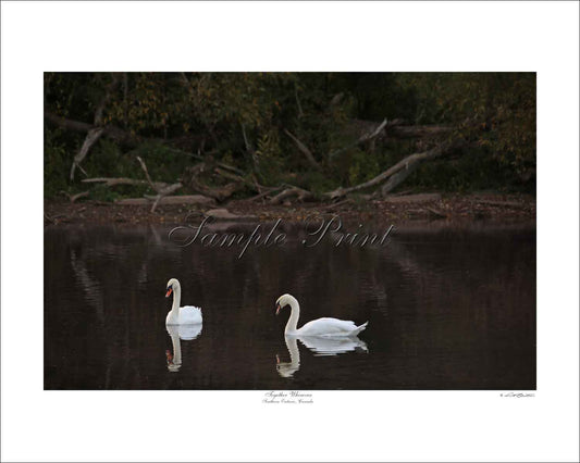 TOGETHER WHEREVER - Southern Ontario, Canada