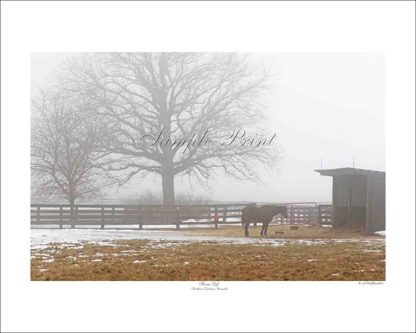 FARM LIFE - Southern Ontario, Canada