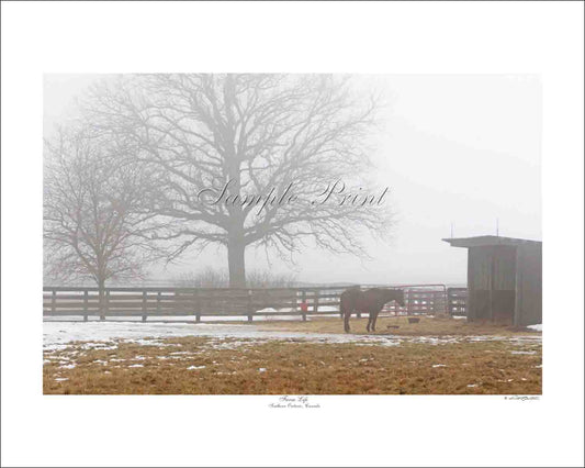 FARM LIFE - Southern Ontario, Canada