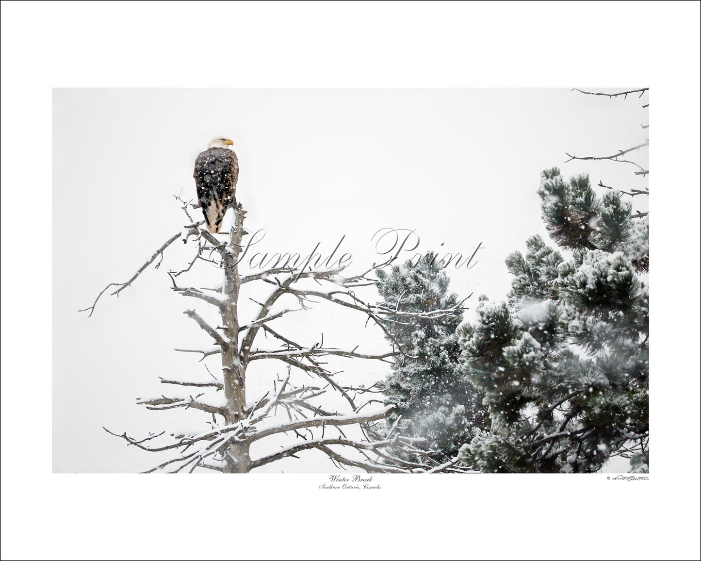 WINTER BREAK - Southern Ontario, Canada