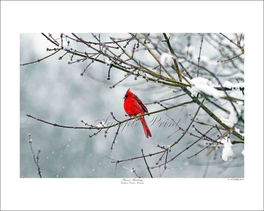SEASON'S GREETINGS - Southern Ontario, Canada