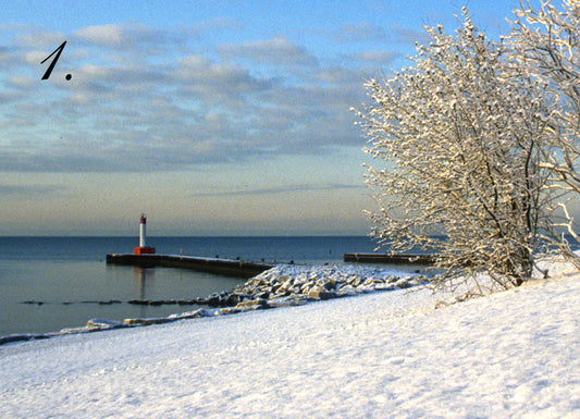 OUT IN THE COLD - Oakville Pier