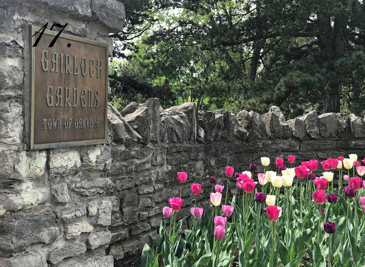 GARDEN SPOT - Gairloch Gardens, Oakville