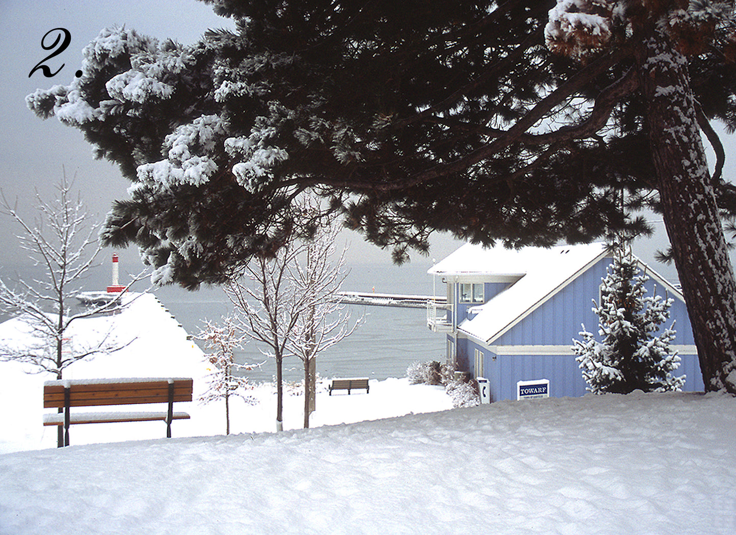 WAITING OUT WINTER - Lakeside Park, Oakville