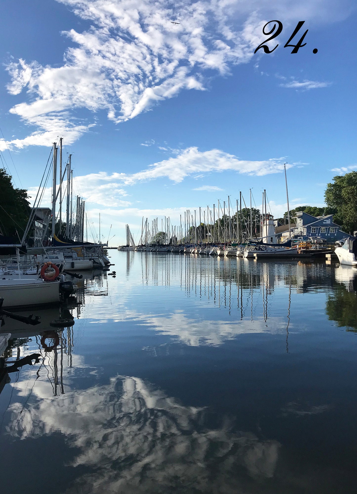HARBOUR REFLECTIONS - Oakville Harbour