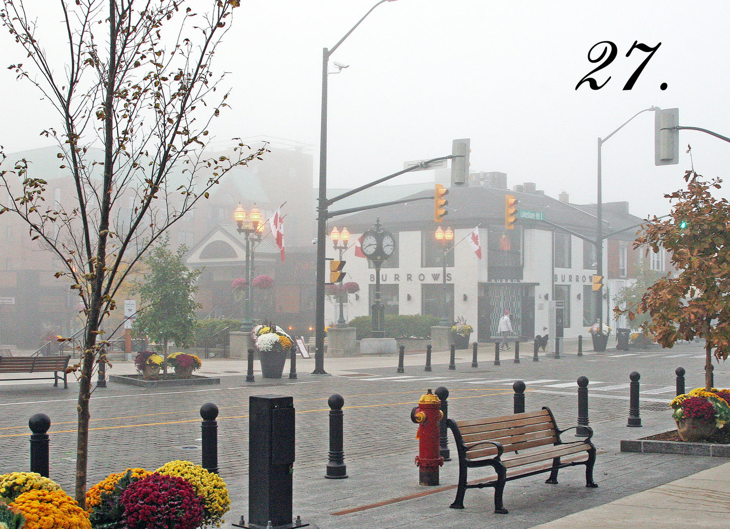 TIME FOR FALL - Downtown Oakville