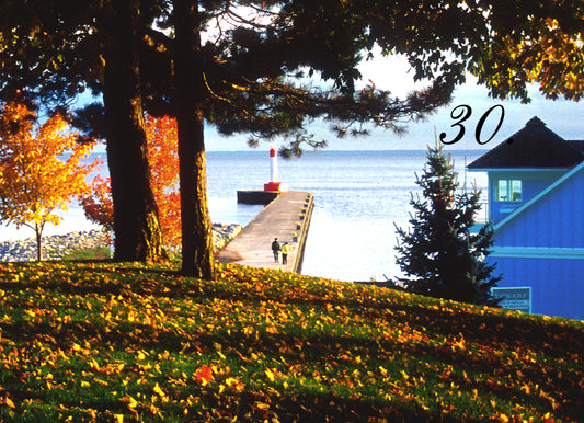 FALL FOR ALL - Lakeside Park, Oakville