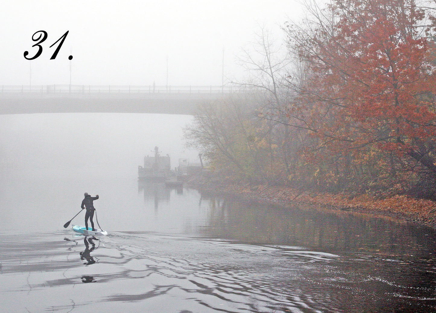 RIPPLES IN FALL - Oakville Harbour