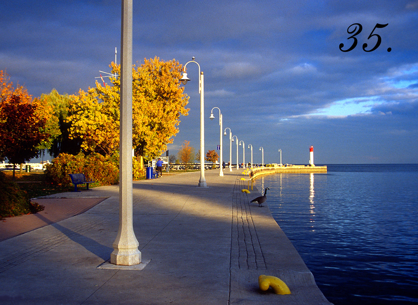 LIGHT TILL THE END - Bronte Pier, Oakville