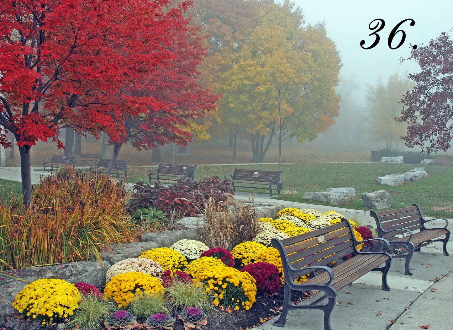 FALL COLOURS - Bronte Heritage Park, Oakville