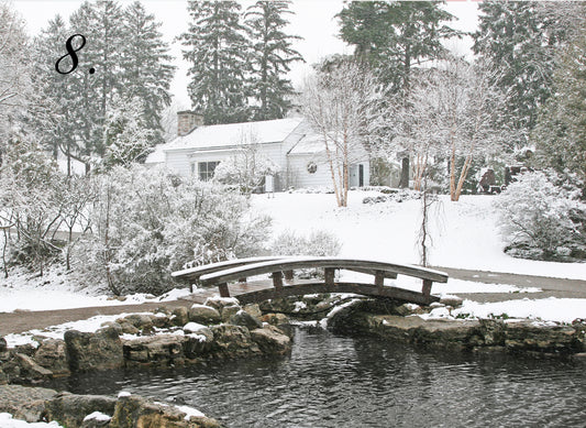INTO WINTER - Gairloch Gardens, Oakville
