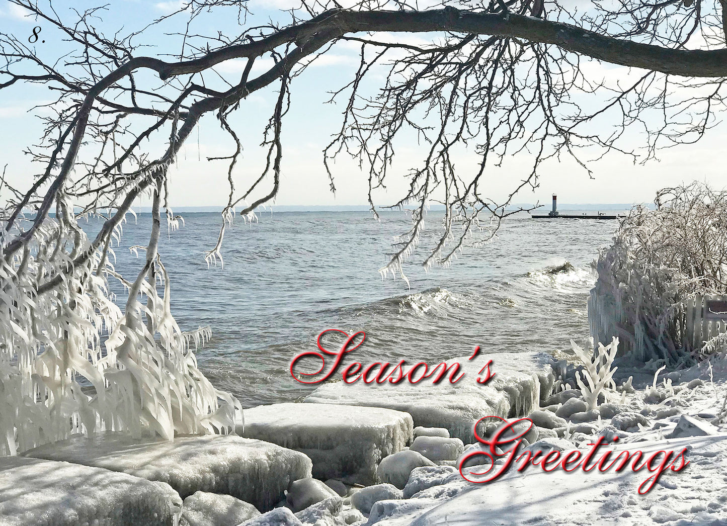 ICED OVER - Dingle Park, Oakville