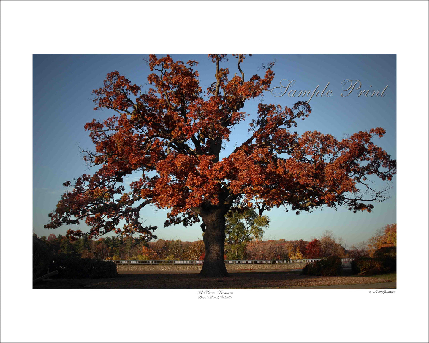 A TOWN TREASURE - Bronte Road, Oakville