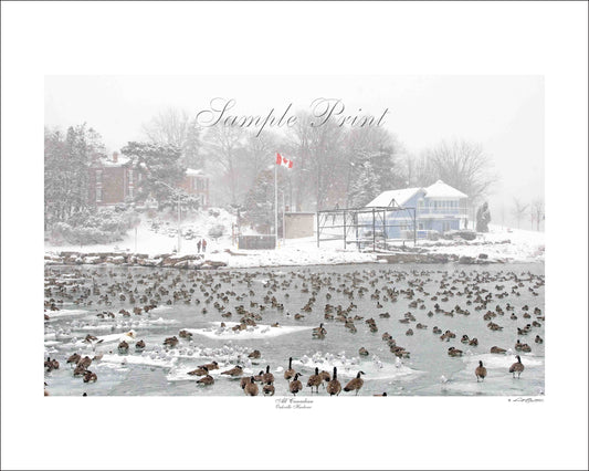 ALL CANADIAN - Oakville Harbour
