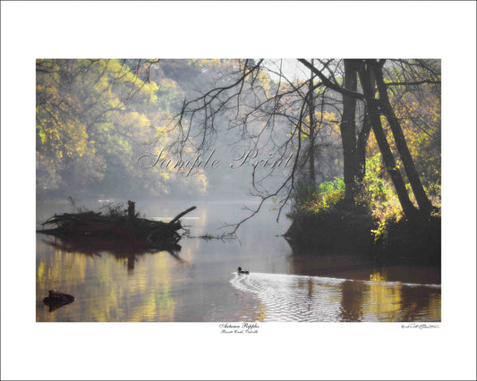 AUTUMN RIPPLES - Bronte Creek, Oakville
