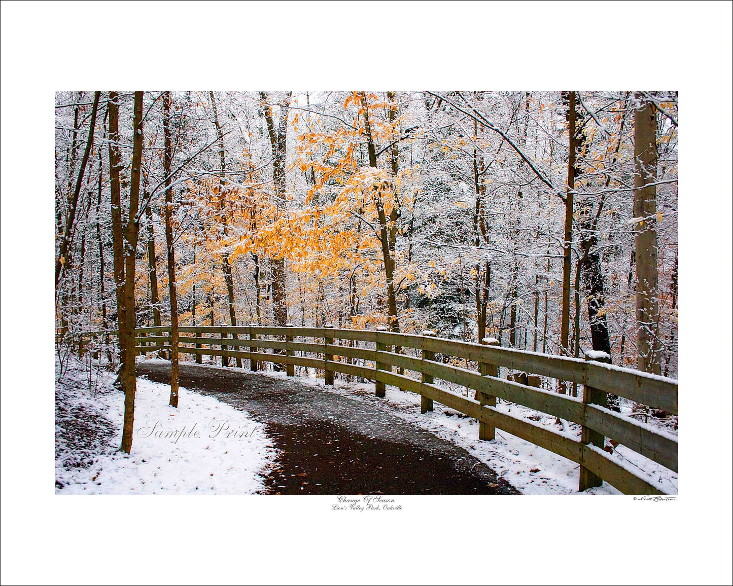 CHANGE OF SEASON - Lion's Valley Park, Oakville