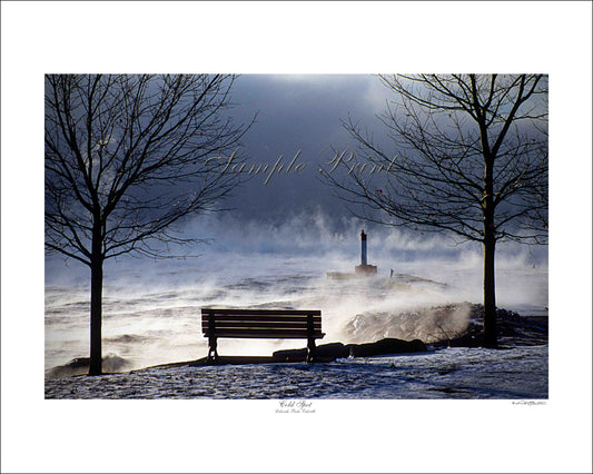 COLD SPOT - Lakeside Park, Oakville