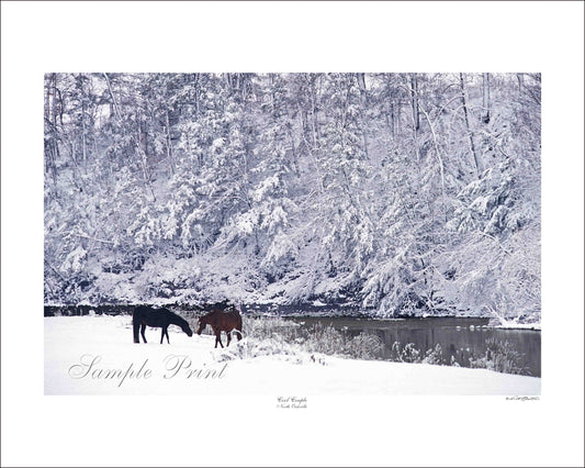 COOL COUPLE - North Oakville