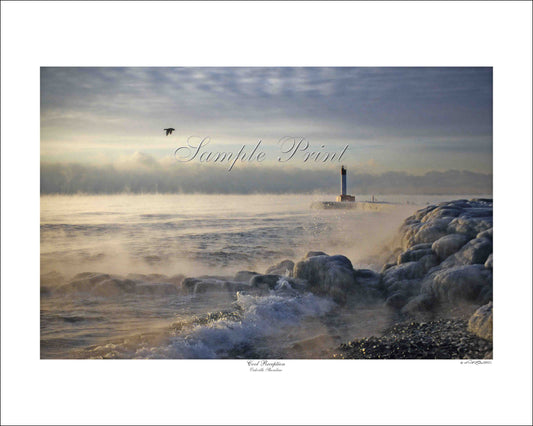 COOL RECEPTION - Oakville Shoreline