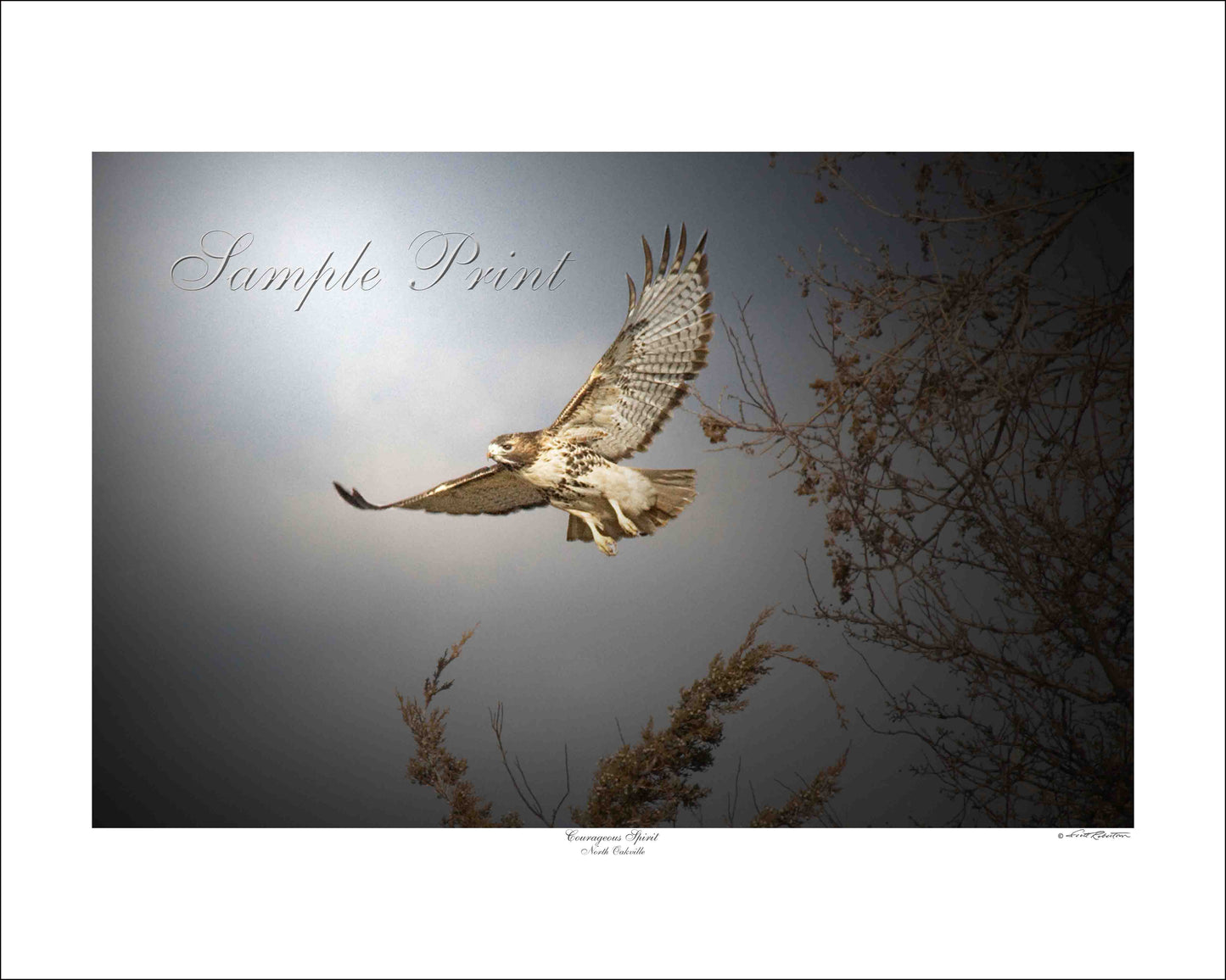 COURAGEOUS SPIRIT - North Oakville