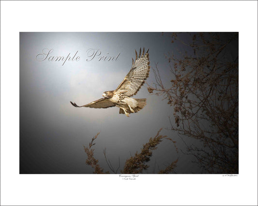 COURAGEOUS SPIRIT - North Oakville