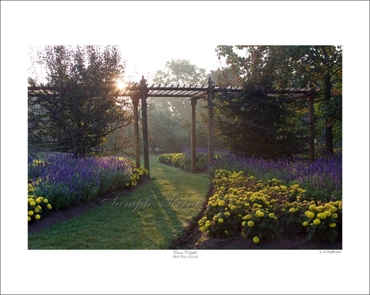DAWN DELIGHTS - Shell Park, Oakville