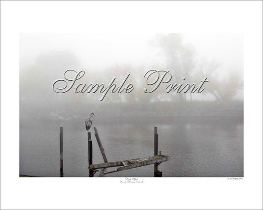DOCK SPOT - Bronte Harbour