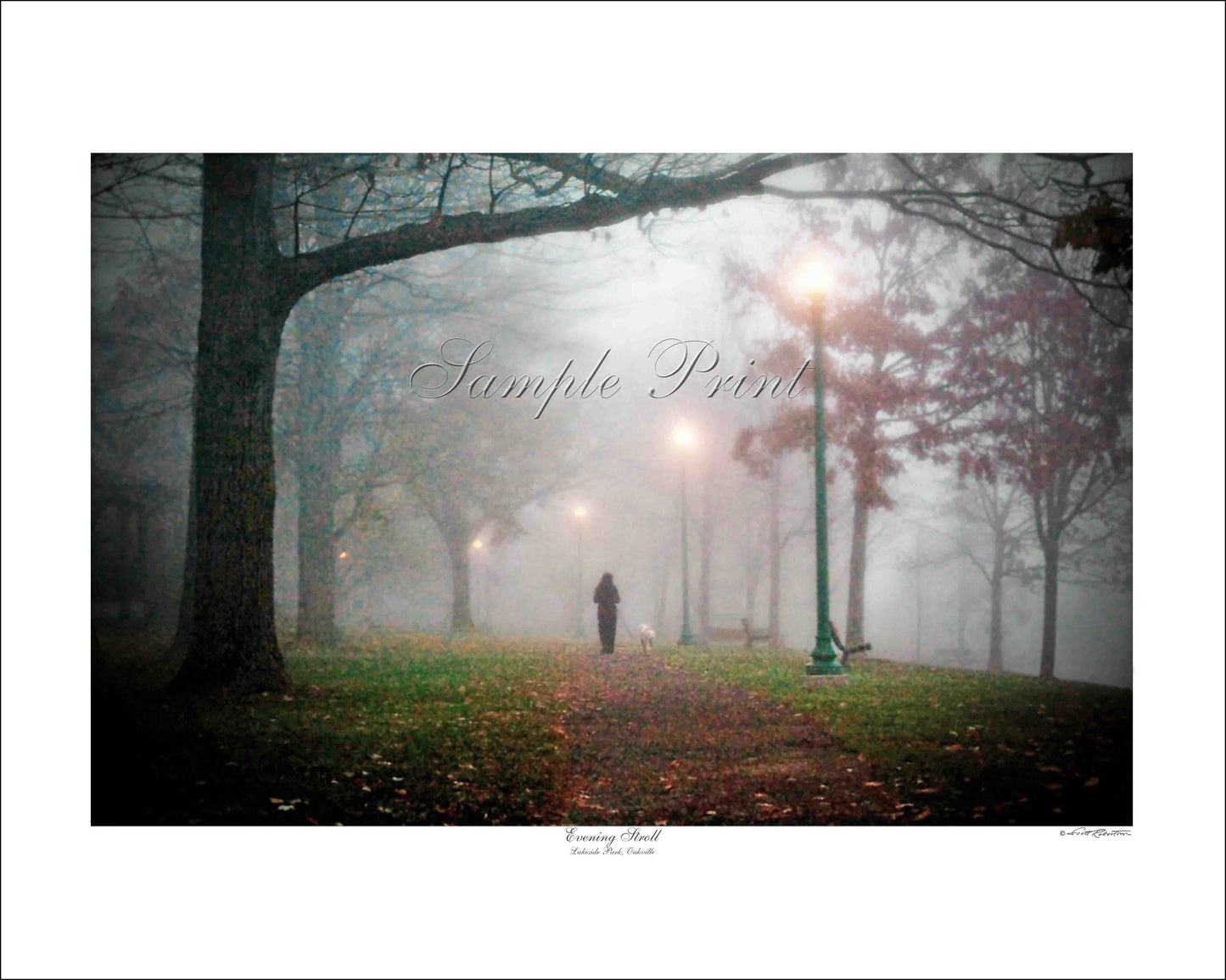 EVENING STROLL - Lakeside Park, Oakville