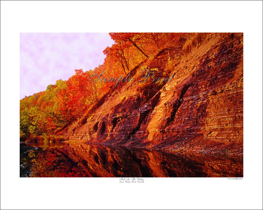 FALL IN THE VALLEY - Lions Valley Park, Oakville