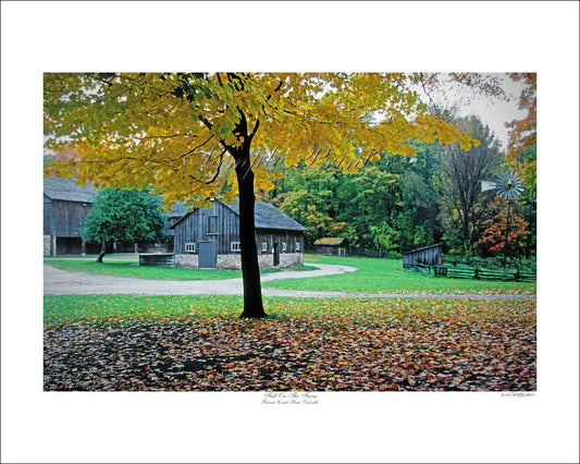 FALL ON THE FARM - Bronte Creek Provincial Park, Oakville