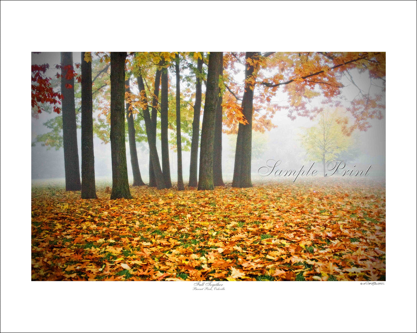 FALL TOGETHER - Burnet Park, Oakville