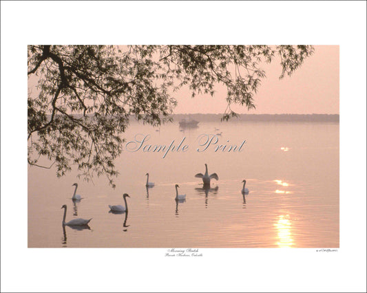 MORNING STRETCH - Bronte Harbour, Oakville