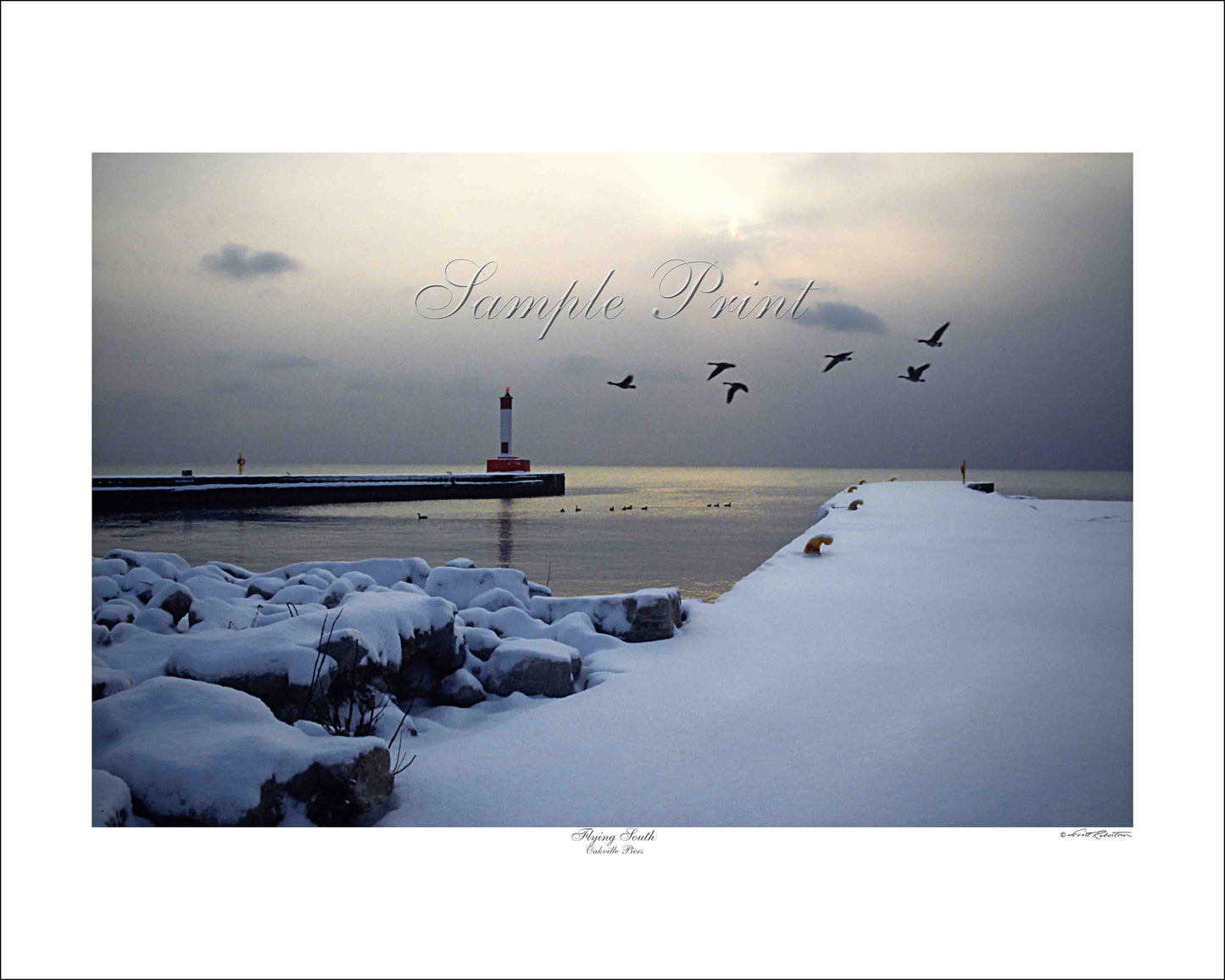 FLYING SOUTH - Oakville Pier