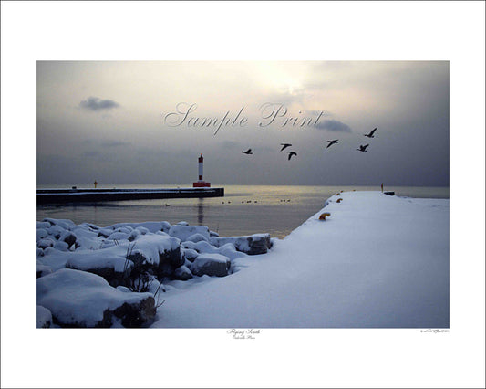 FLYING SOUTH - Oakville Pier