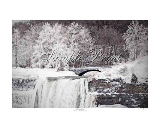 FROZEN OVER - Niagara Falls, Canada
