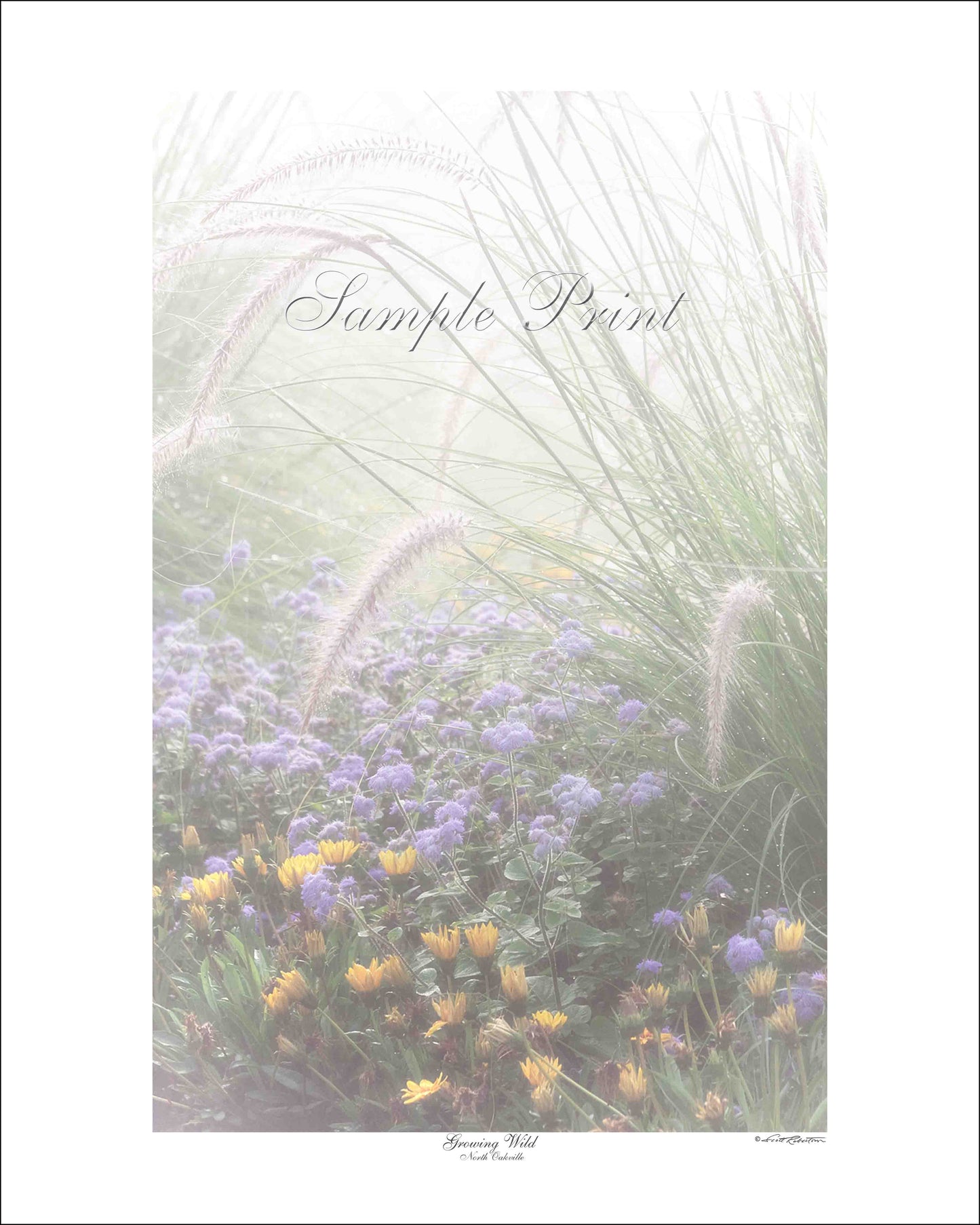 GROWING WILD - North Oakville