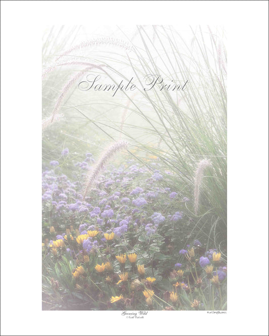 GROWING WILD - North Oakville