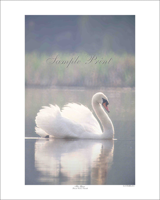 HER GRACE - Bronte Creek, Oakville