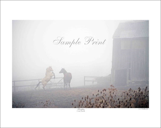 HORSEPLAY - North Oakville