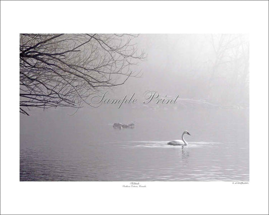 SOLITUDE - Southern Ontario, Canada