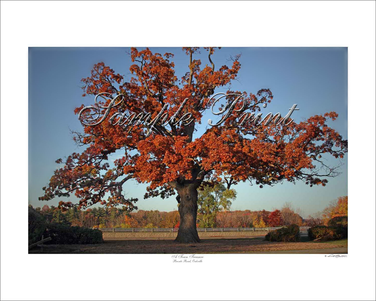 A TOWN TREASURE - Bronte Road, Oakville