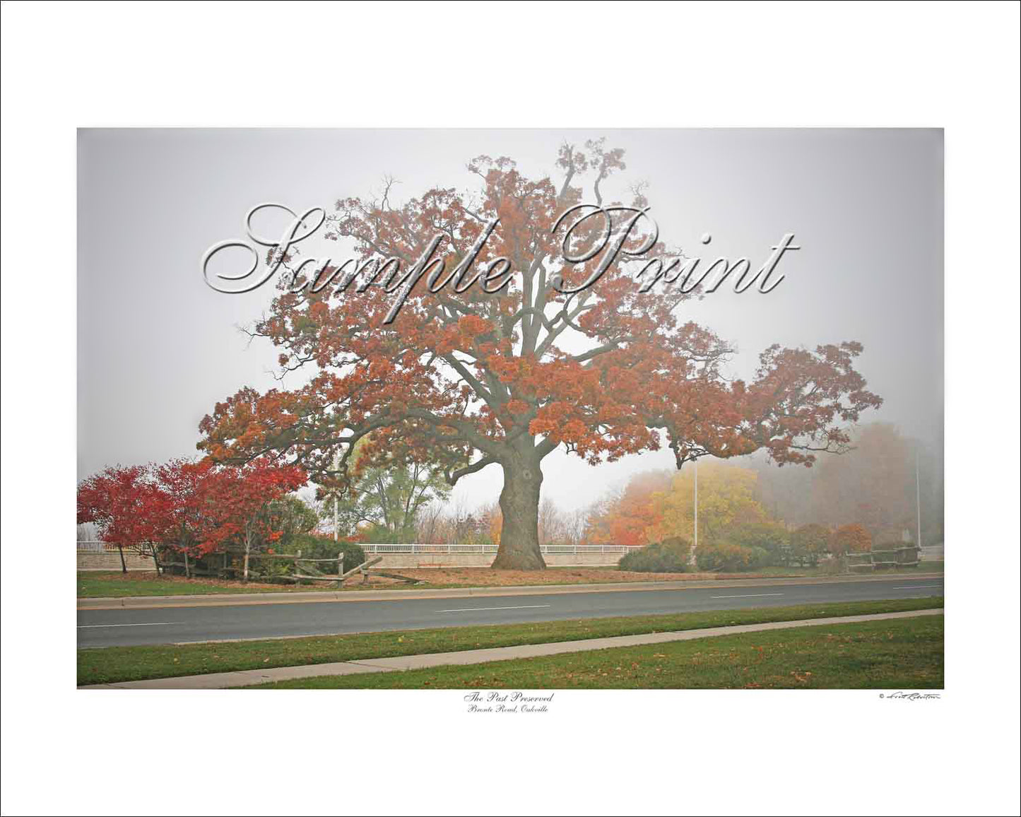 THE PAST PRESERVED - Bronte Road, Oakville