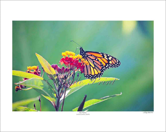 INTO NATURE - Gairloch Gardens, Oakville