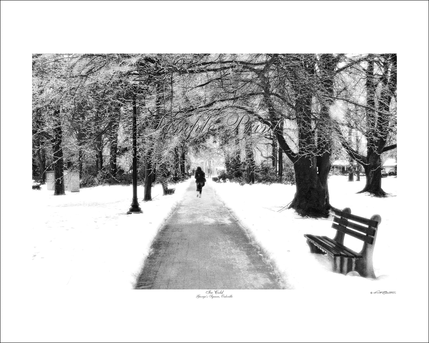 ICE COLD - George's Square