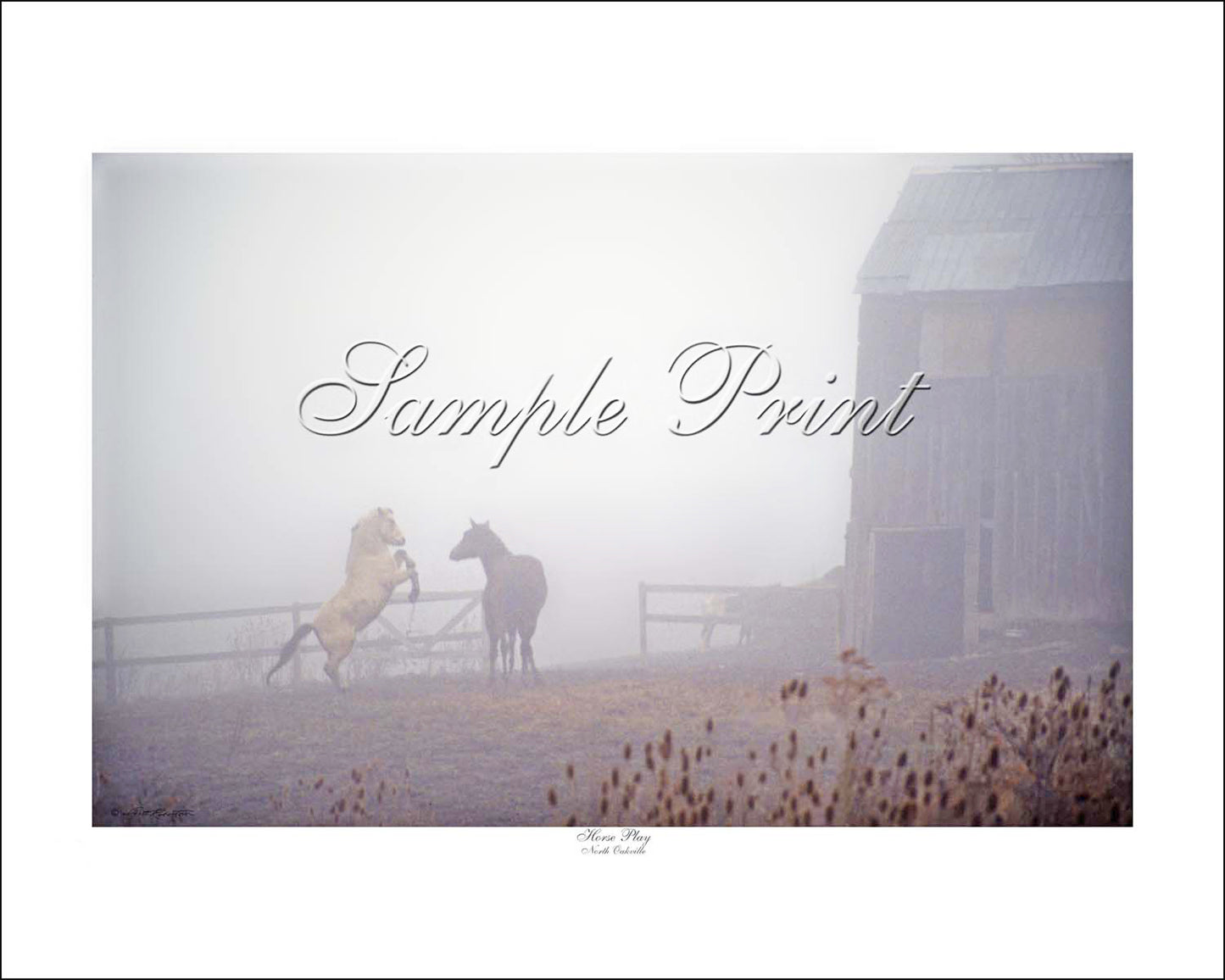 HORSEPLAY - North Oakville