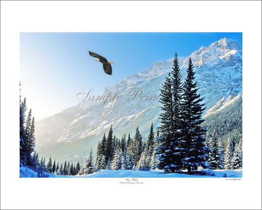 SKY HIGH - British Columbia, Canada