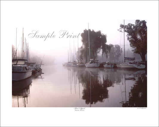 MAST APPEAL - Oakville Harbour